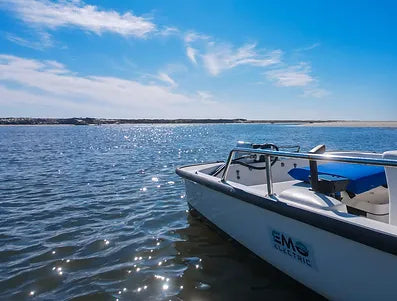What is the Cost Difference Between Electric Outboards and Gas Outboards?