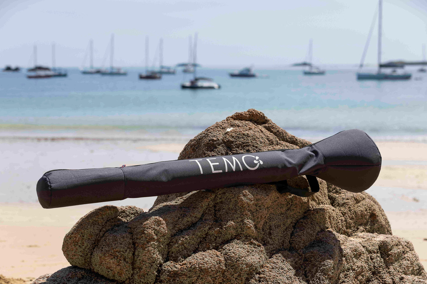 Temo 450 Transport Bag