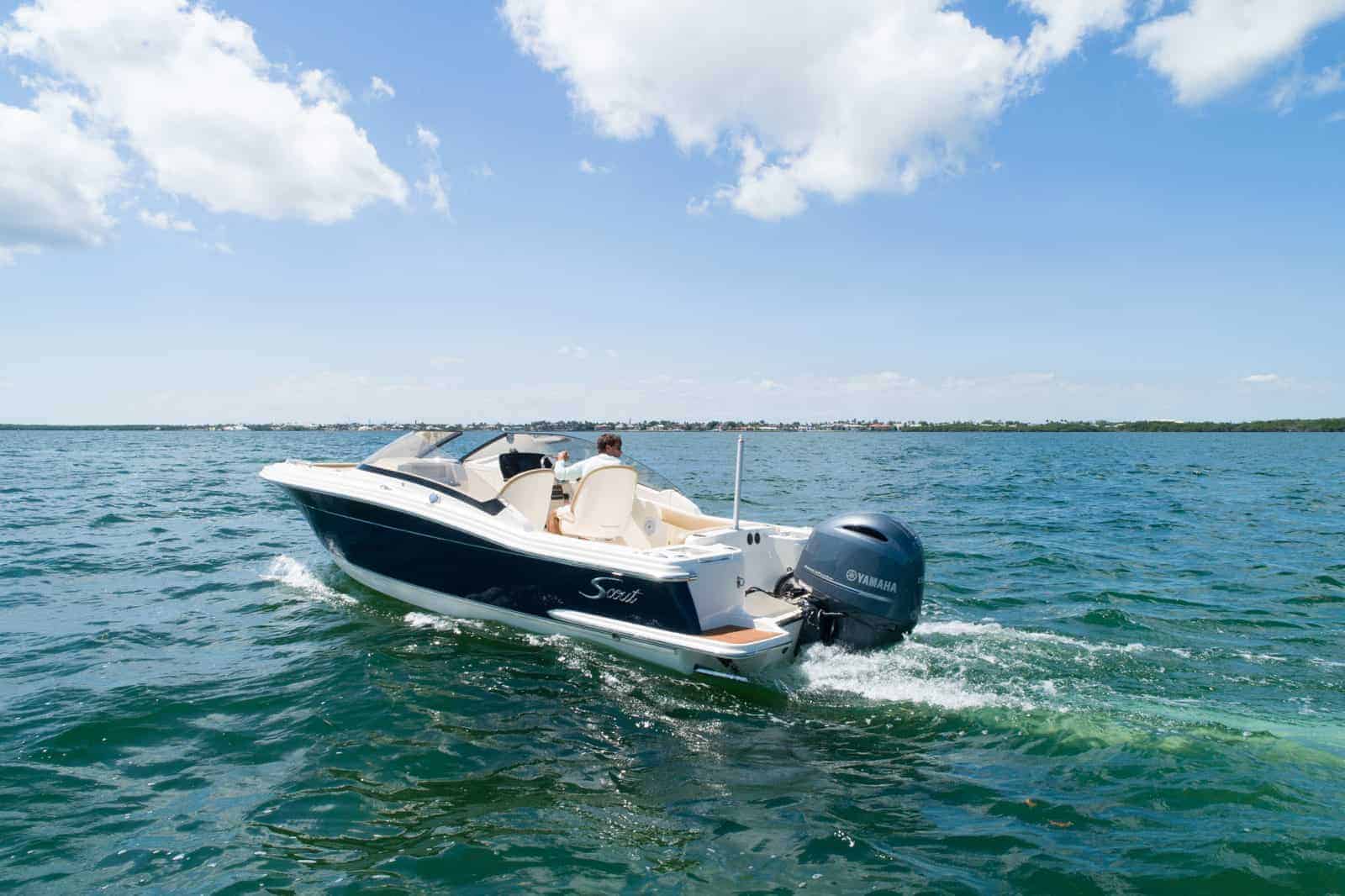 Scout 215 Dorado
